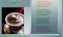 中国茶叶爆料视频最新版,传承与创新共舞